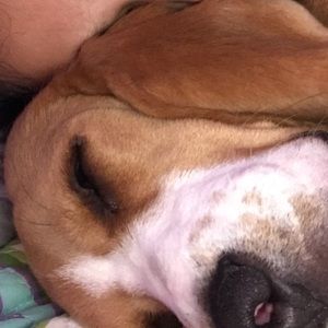 Meet your Posher, Vanessa